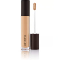 Concealer